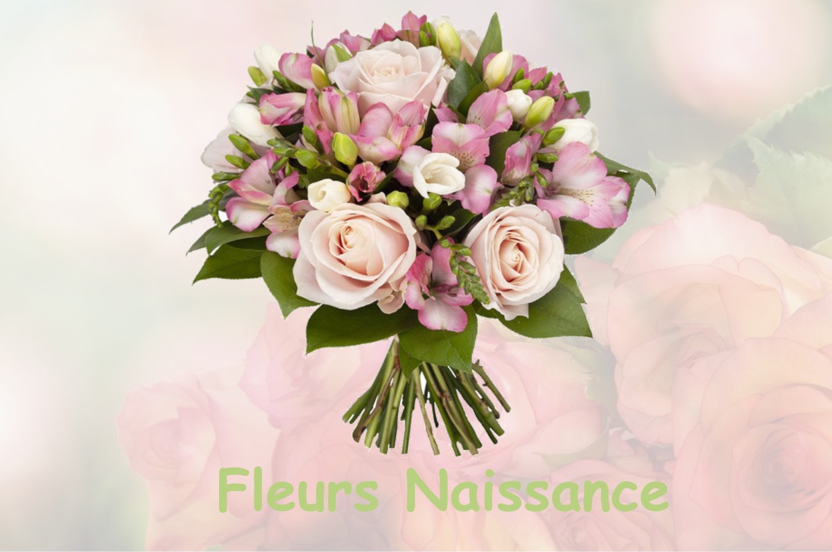 fleurs naissance MANDRES-SUR-VAIR